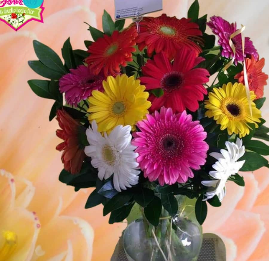 Colección Gerberas — Florería Casablanca Torreón