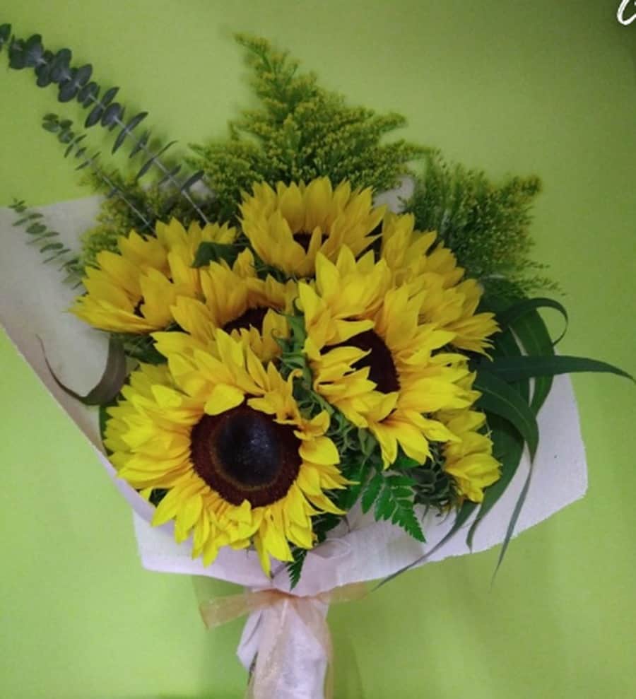 Colección Girasoles — Florería Casablanca Torreón
