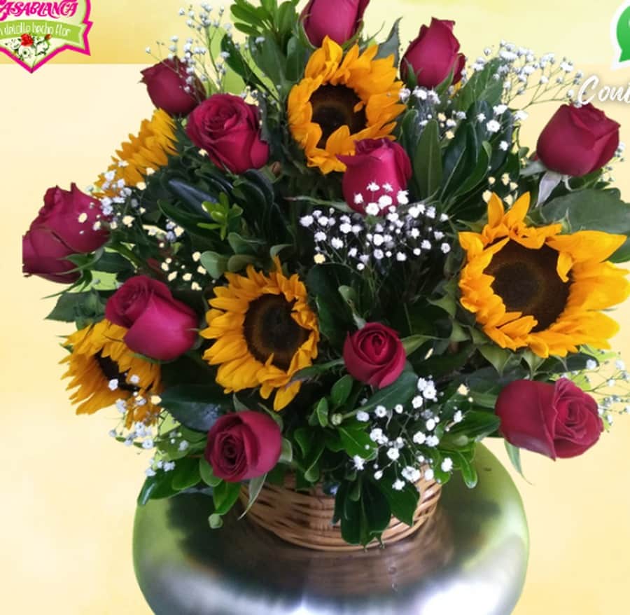 Colección Rosas y girasoles — Florería Casablanca Torreón