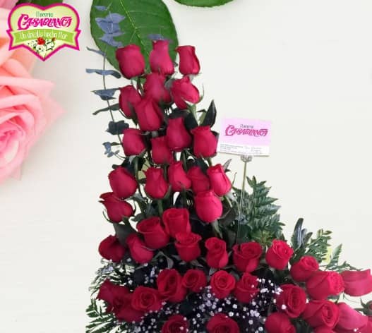 50 Rosas en cascada — foto 1 Florería Casablanca Torreón