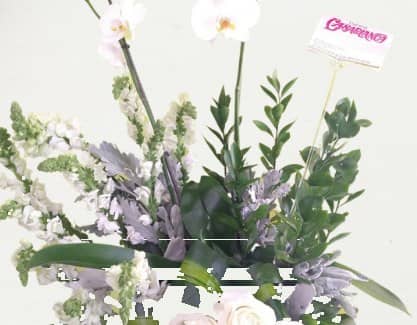 Jardín de Orquídeas con rosas — foto 1 Florería Casablanca Torreón