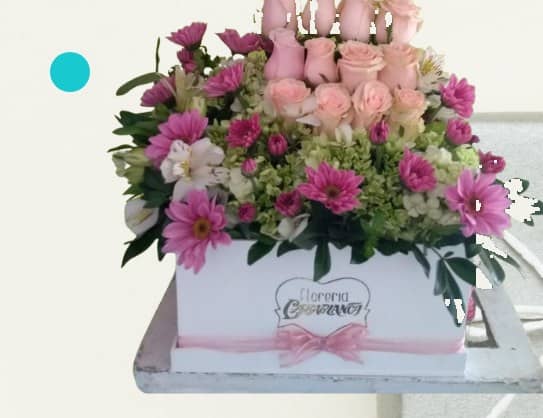 12 Rosas, astromelias y margaritas (caja grande) — foto 1 Florería Casablanca Torreón