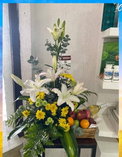 Canasta Casablanca y Frutas — foto 1 Florería Casablanca Torreón
