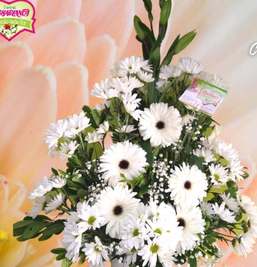 Arreglo de 5 Gerberas blancas y margaritas — foto 1 Florería Casablanca Torreón
