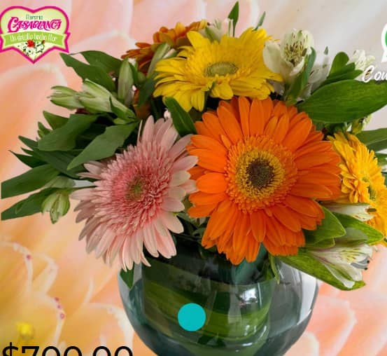 10 Gerberas en pecera — foto 1 Florería Casablanca Torreón