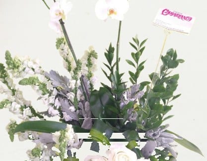 Jardín de Orquídeas con rosas — arreglo floral Florería Casablanca Torreón