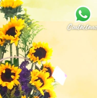 Jardín de 12 Girasoles — arreglo floral Florería Casablanca Torreón