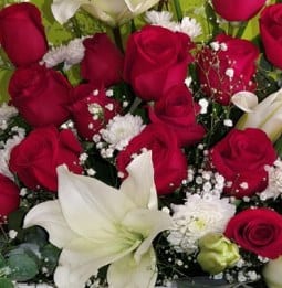 Sorpresa de 24 Rosas (caja grande) — arreglo floral Florería Casablanca Torreón