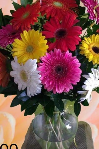 12 Gerberas surtidas en base de vidrio — arreglo floral Florería Casablanca Torreón