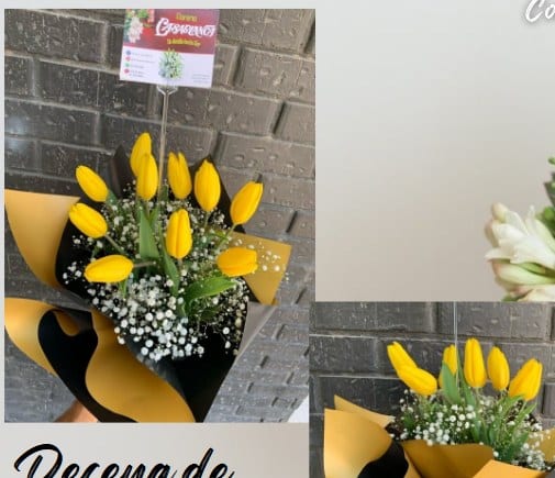 Decena de tulipanes — arreglo floral Florería Casablanca Torreón